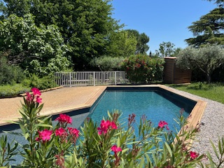 Cette image présente la piscine du Temps des Légendes. Elle est sécurisée par une clôture et arborée par des oliviers et une haie végétale.